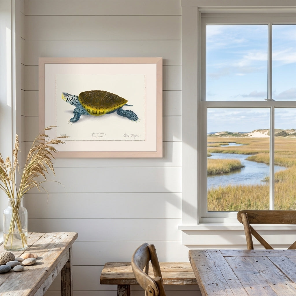 Diamondback Terrapin Limited Edition Print - NEW for June 2026!