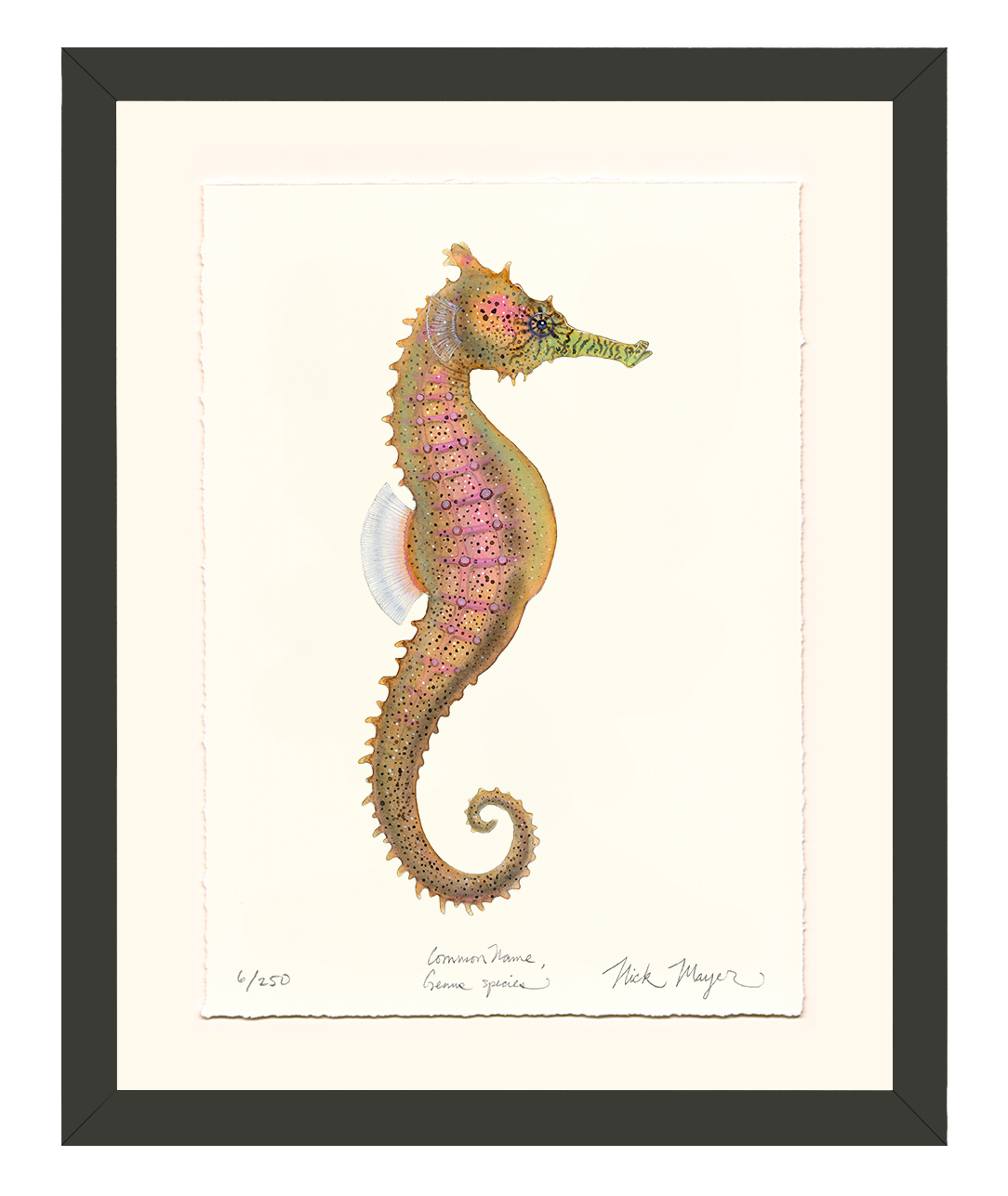 Estuary Seahorse Limited Edition Print