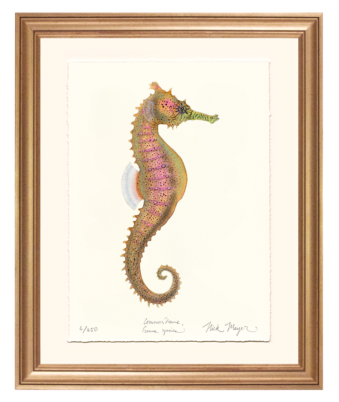 Estuary Seahorse Limited Edition Print