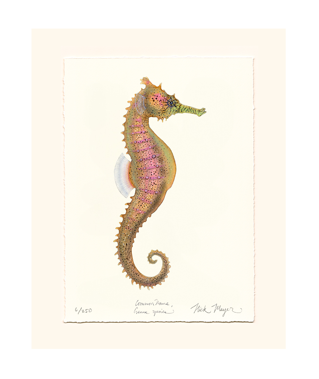 Estuary Seahorse Limited Edition Print