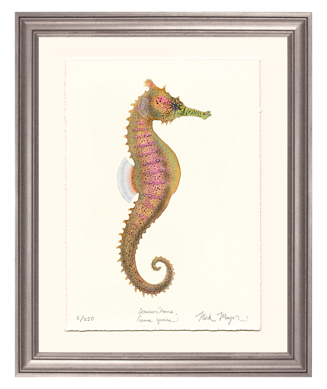 Estuary Seahorse Limited Edition Print