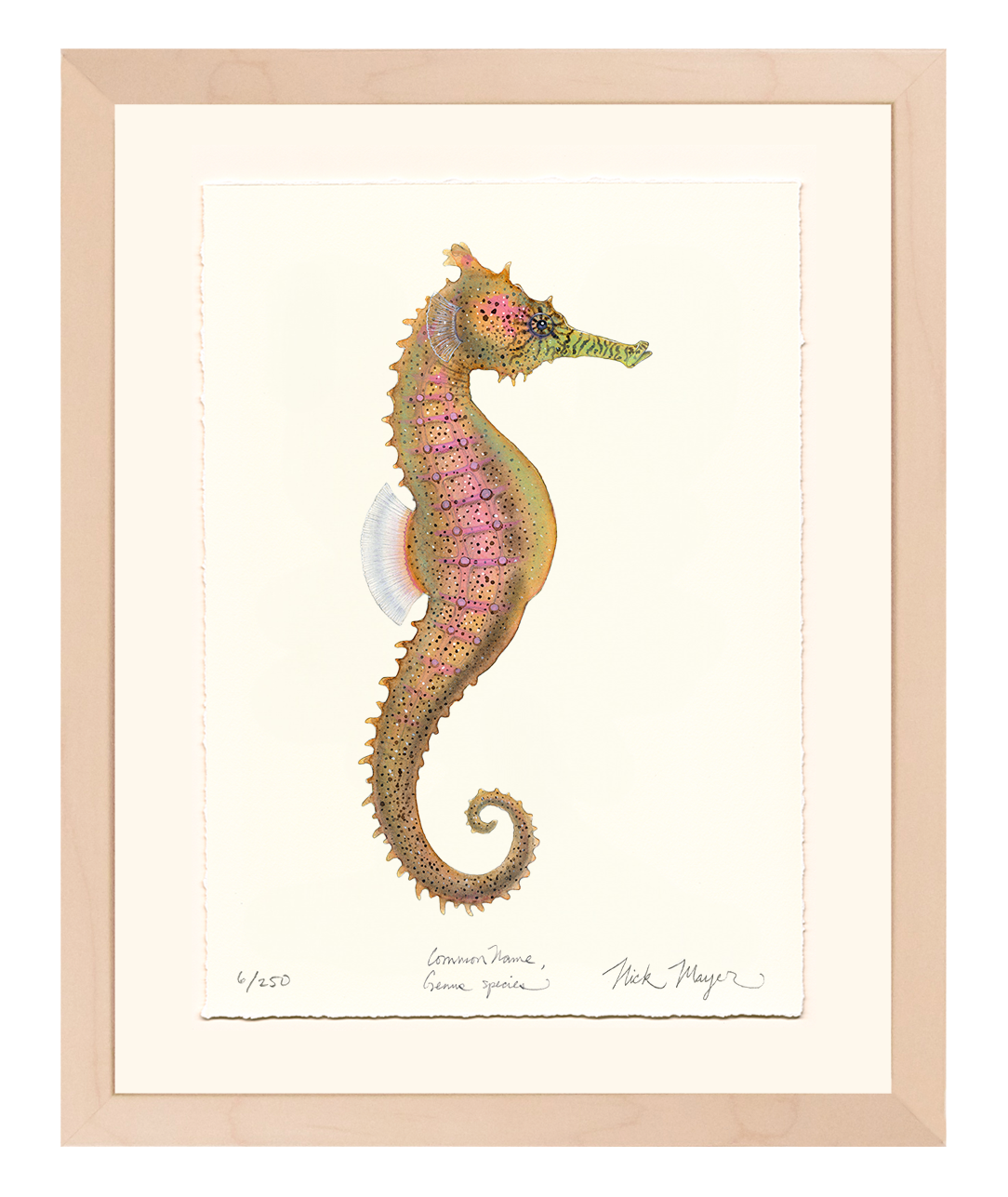 Estuary Seahorse Limited Edition Print