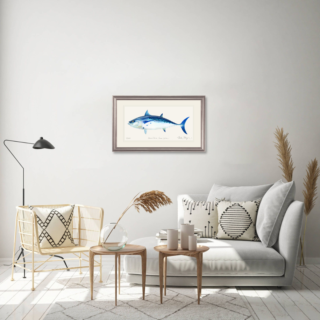 False Albacore II Limited Edition Print