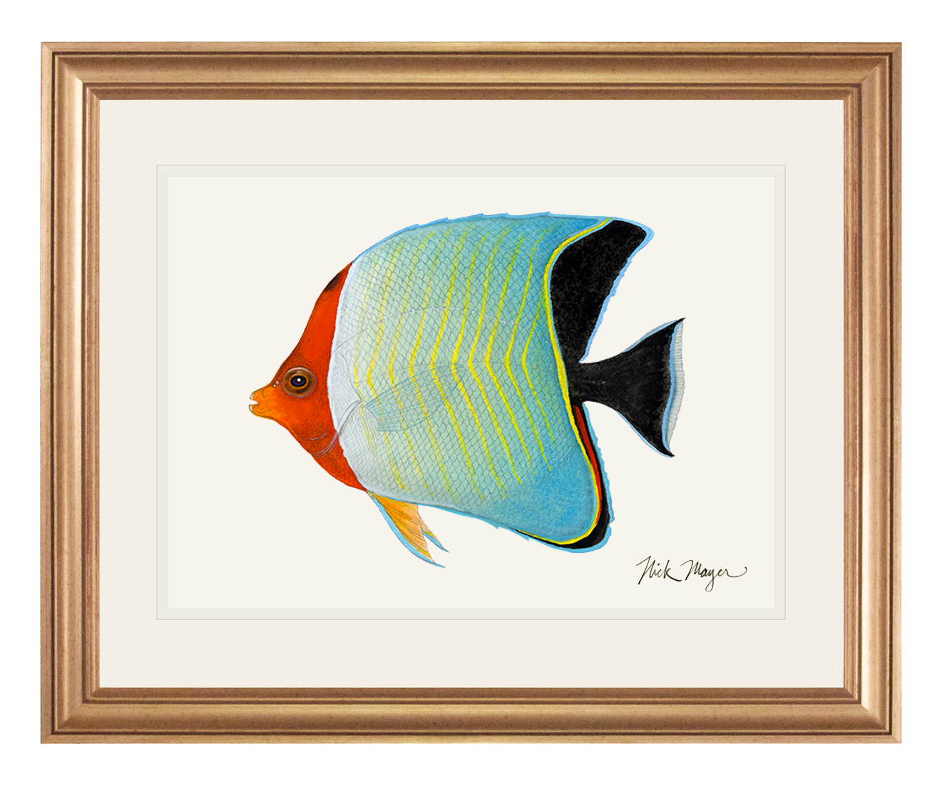 Hooded Butterflyfish Limited Edition Print - NEW