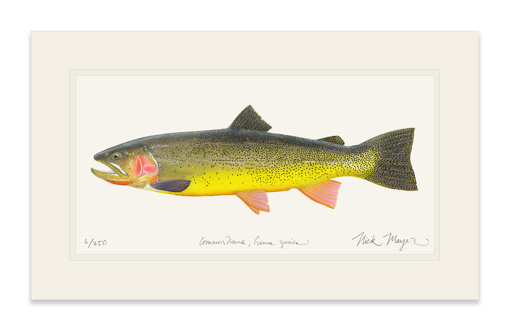Cutthroat Trout 3 Limited Edition Print - NEW for May 2026!