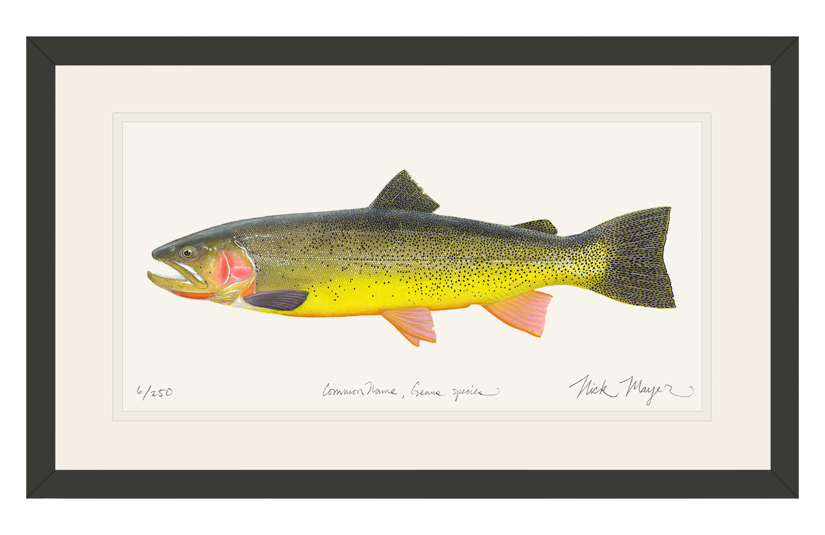 Cutthroat Trout 3 Limited Edition Print - NEW for May 2026!
