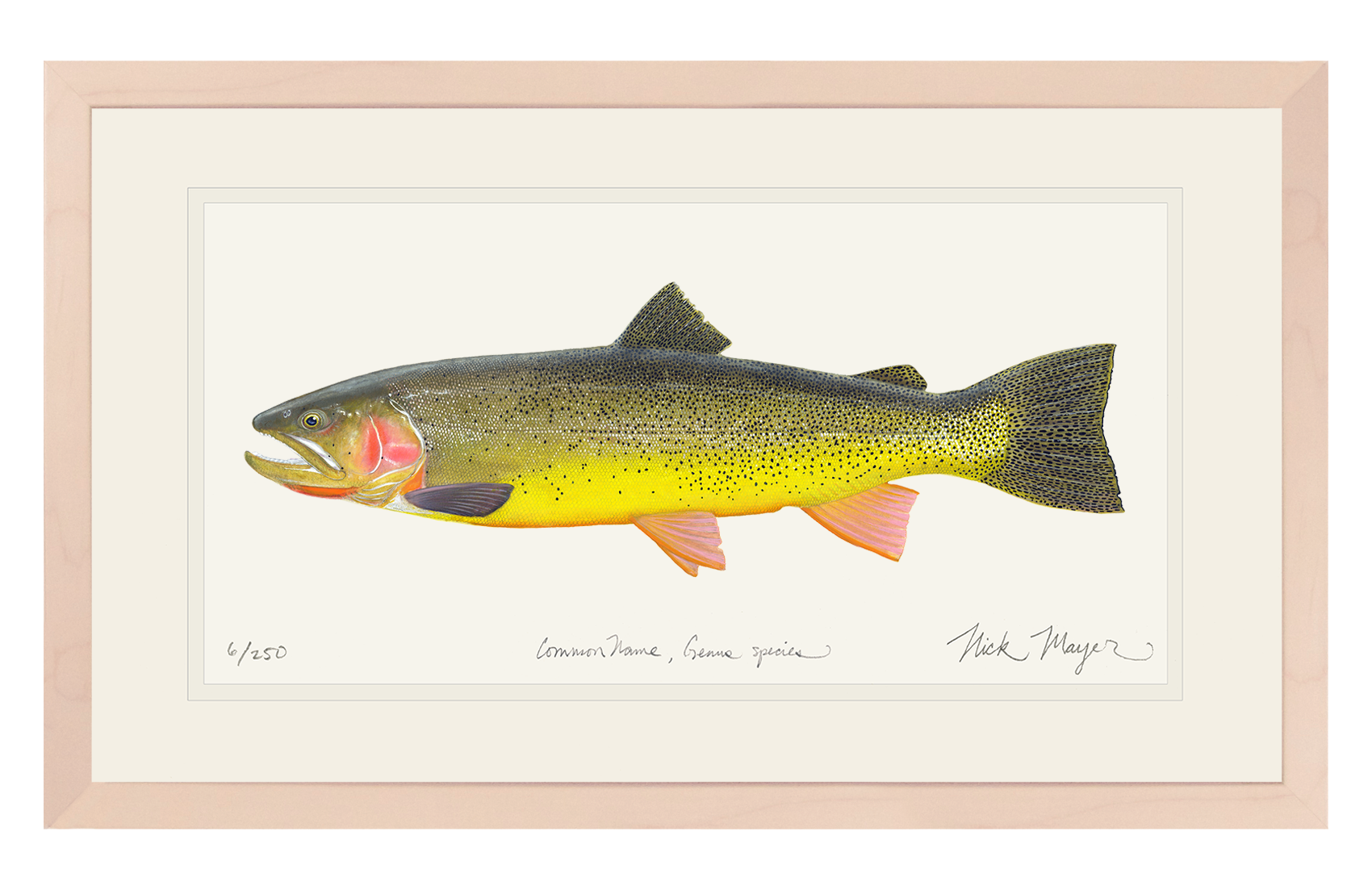 Cutthroat Trout 3 Limited Edition Print - NEW for May 2026!