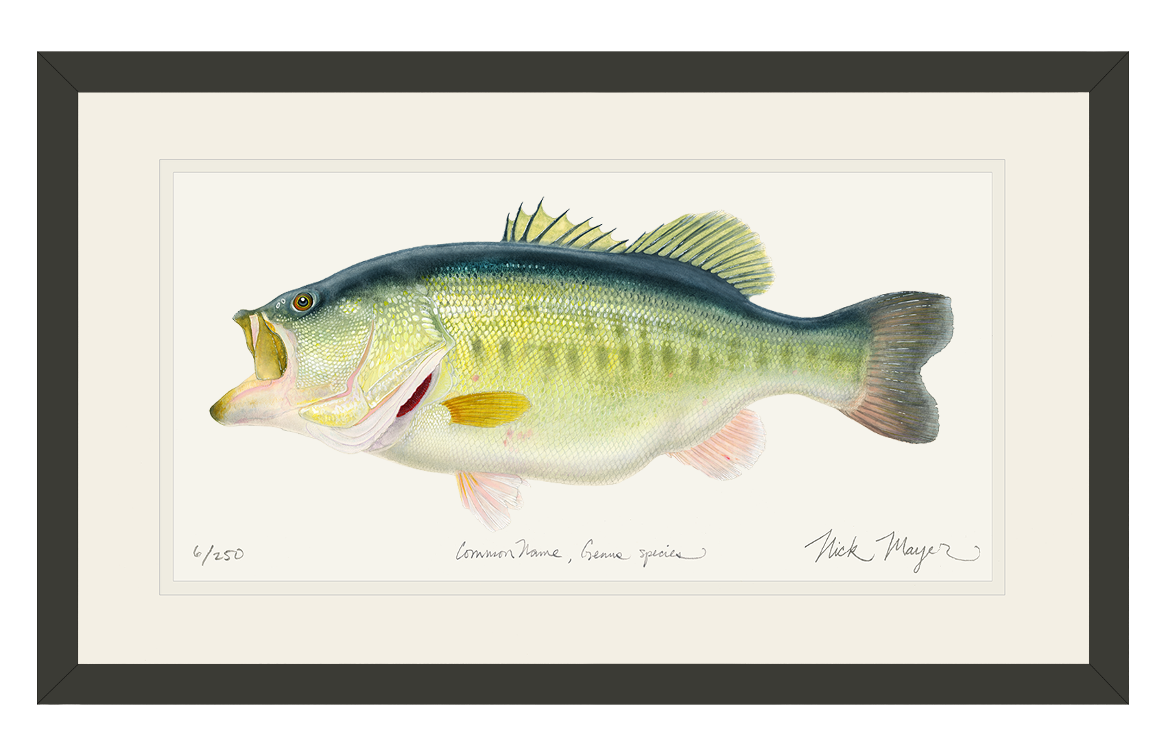 NEWEST PRINT: Largemouth Bass III, 10 lb Sharelunker Limited Edition Print
