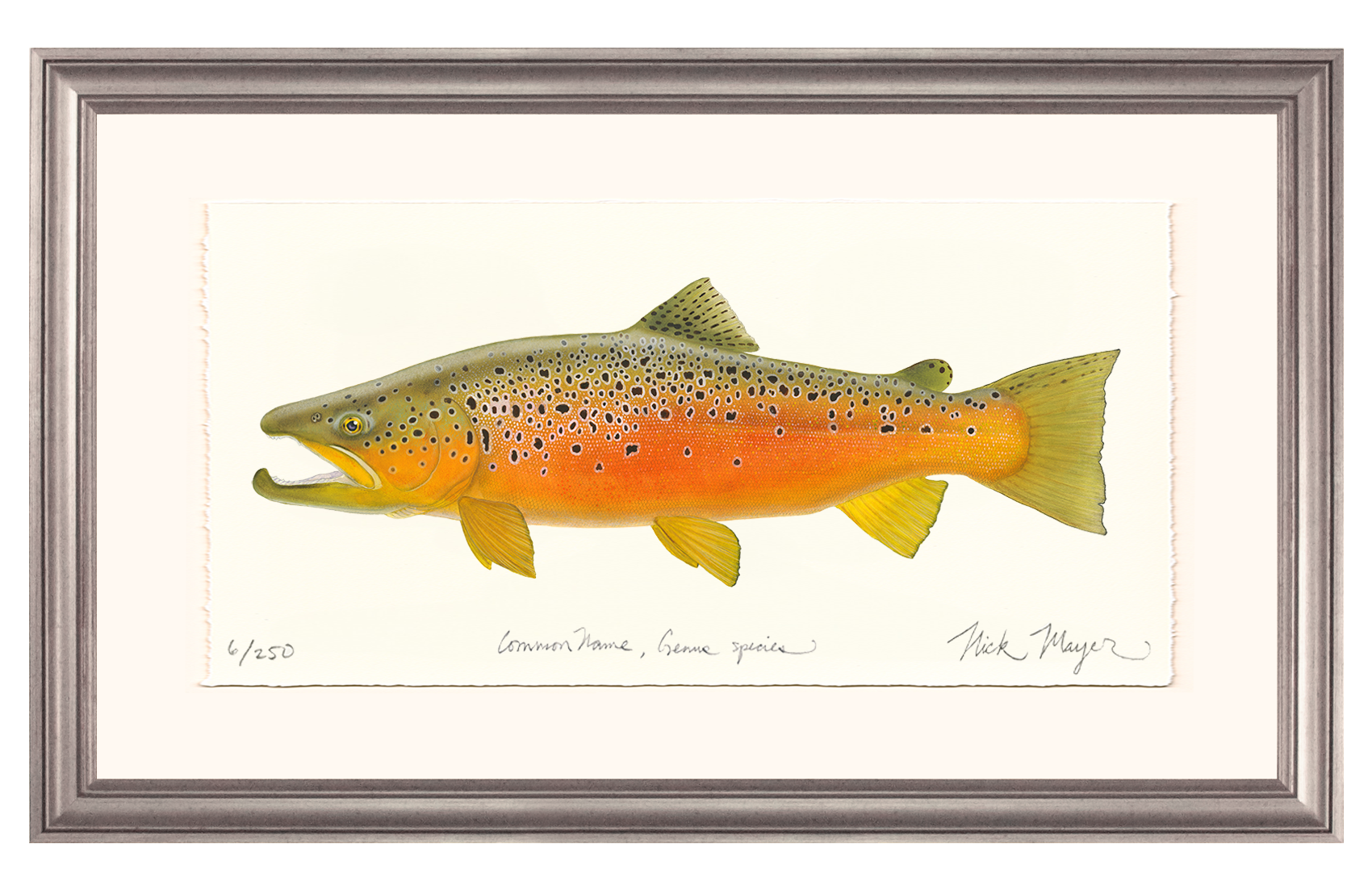 Brown Trout 2 Limited Edition Print - NEW for Holiday 2025!