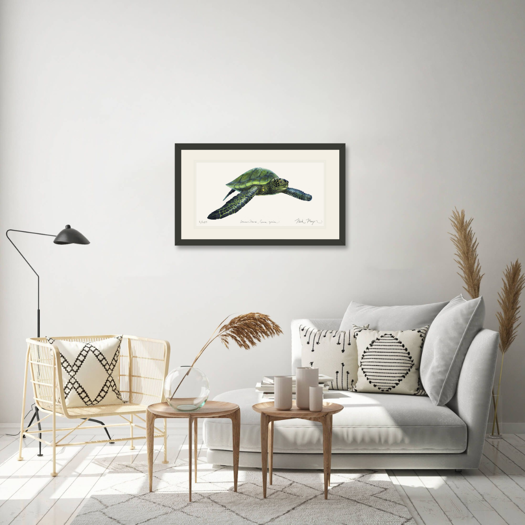 Green Sea Turtle Print