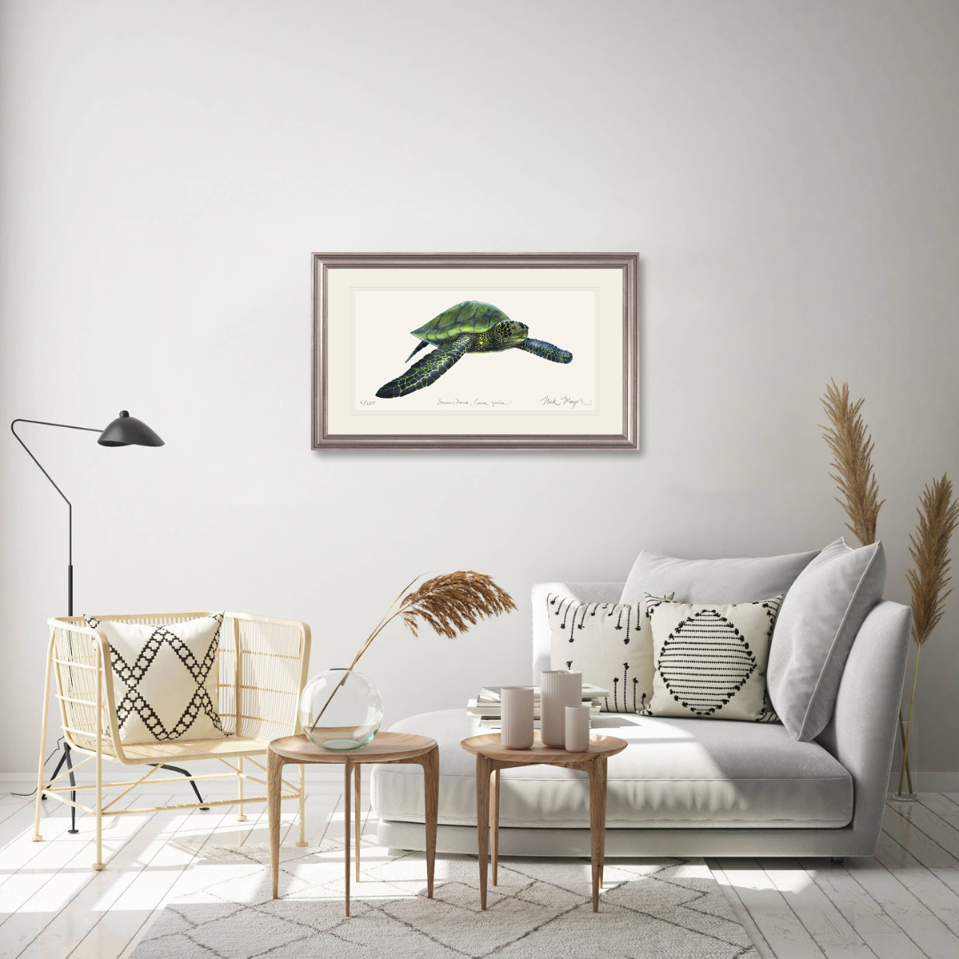 Green Sea Turtle Print