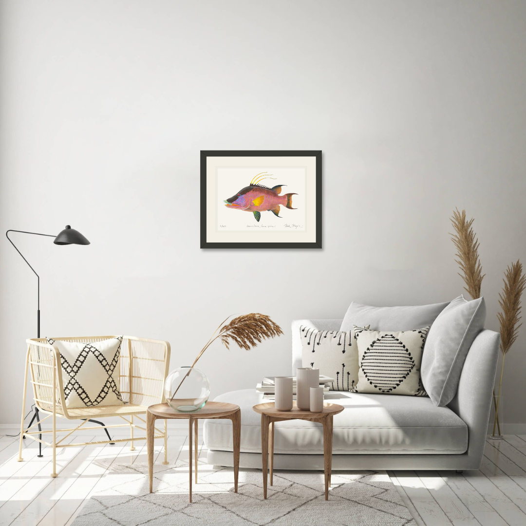 Hogfish Print