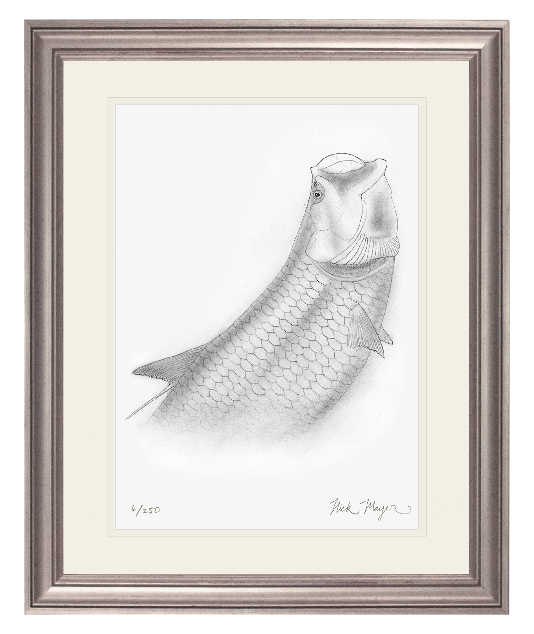 Tarpon Headshake 2 Limited Edition Print