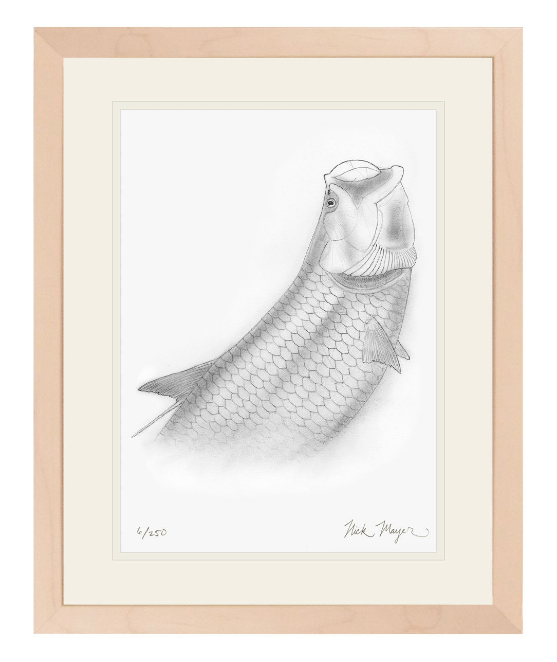 Tarpon Headshake 2 Limited Edition Print