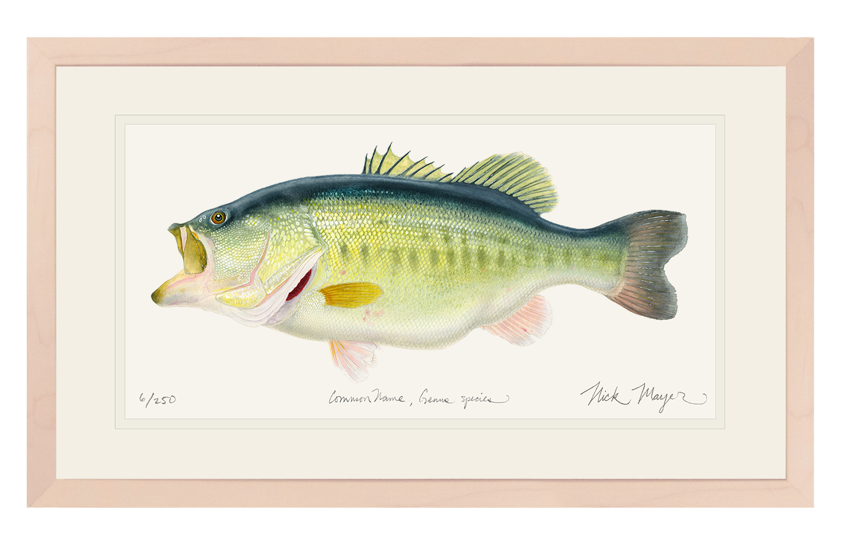 NEWEST PRINT: Largemouth Bass III, 10 lb Sharelunker Limited Edition Print