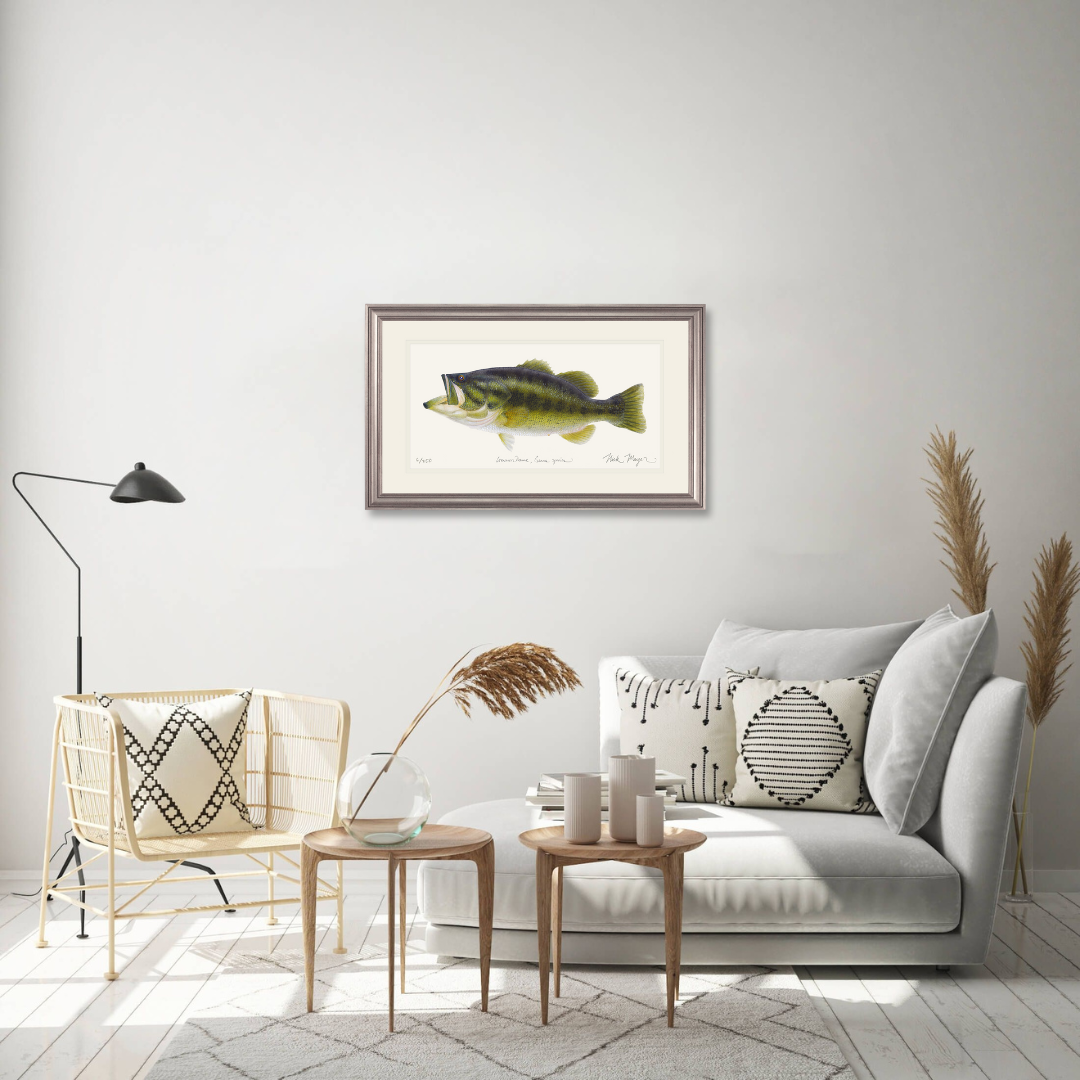 Largemouth Bass Print