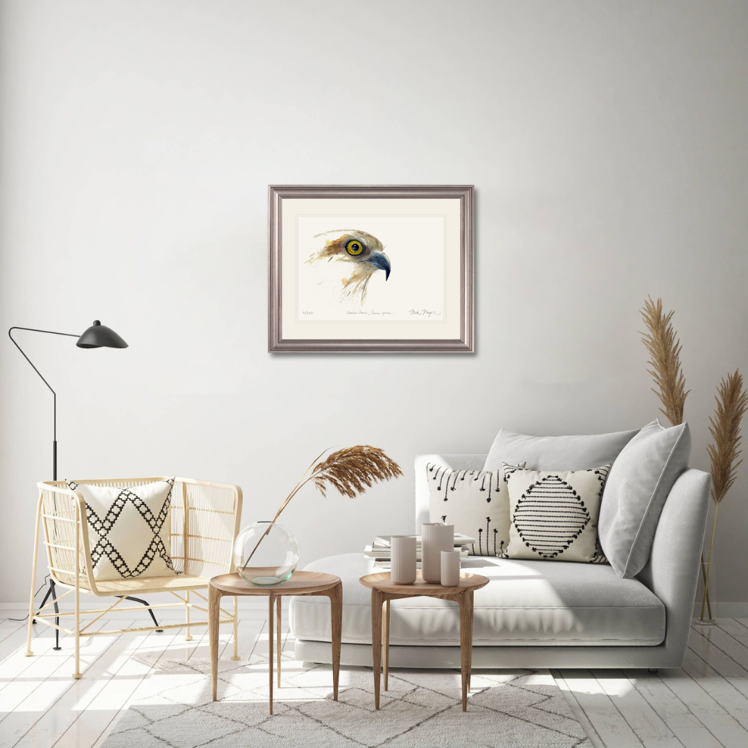Osprey Study Print