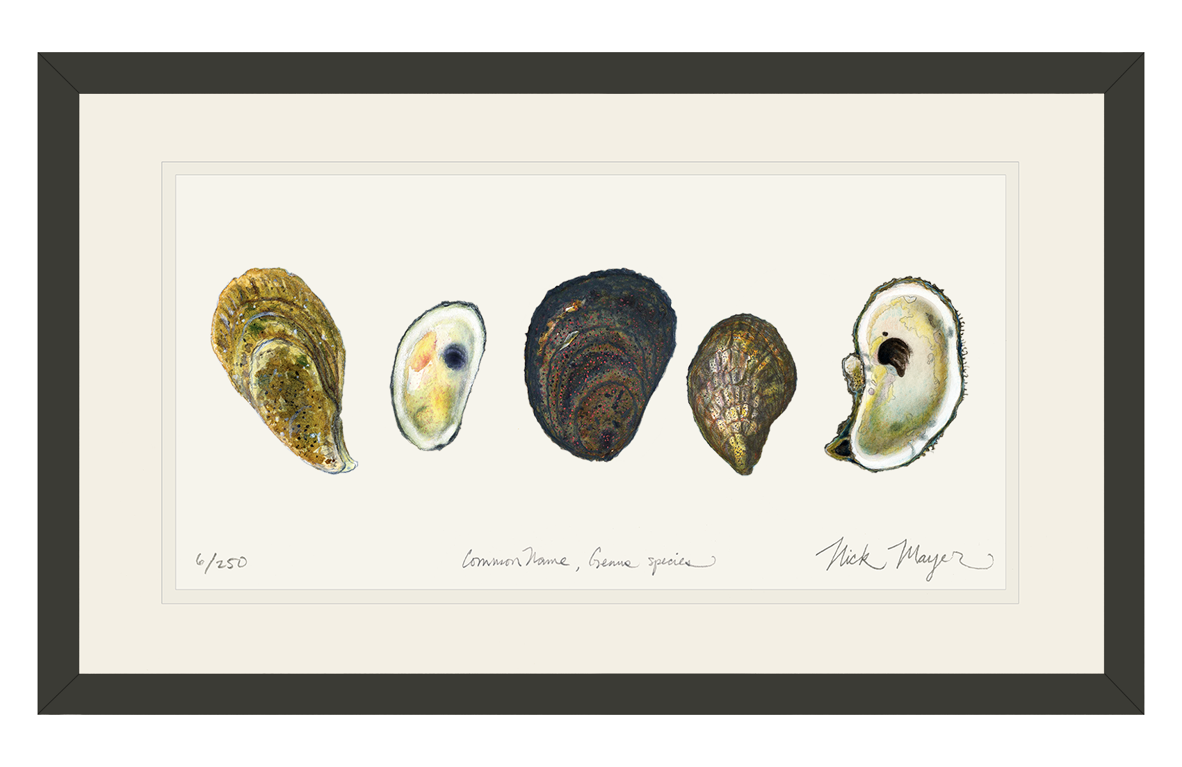 5 Oysters Limited Edition Print - NEW