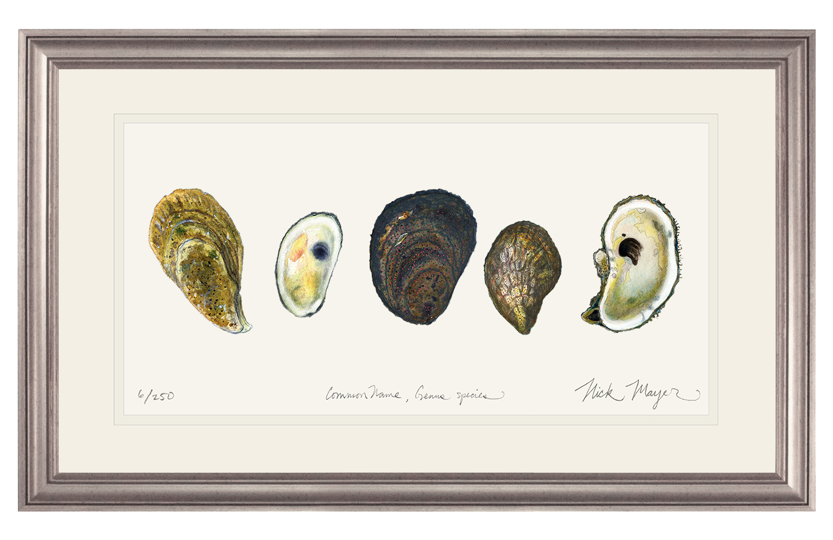 5 Oysters Limited Edition Print - NEW