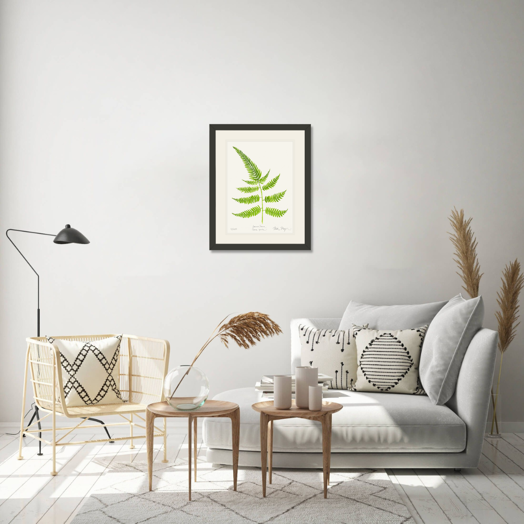 Painted Fern Limited Edition Print