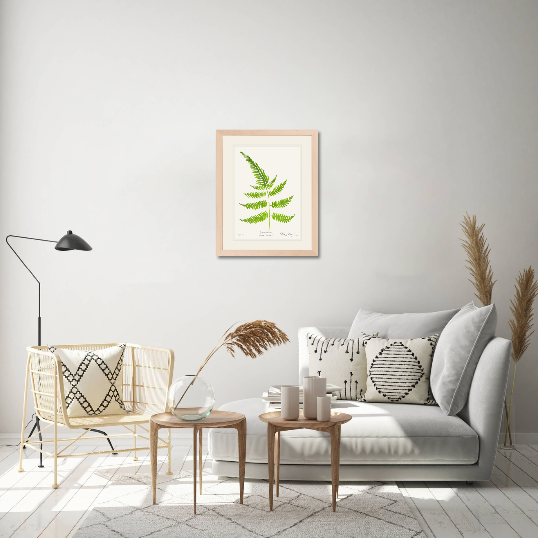 Painted Fern Limited Edition Print