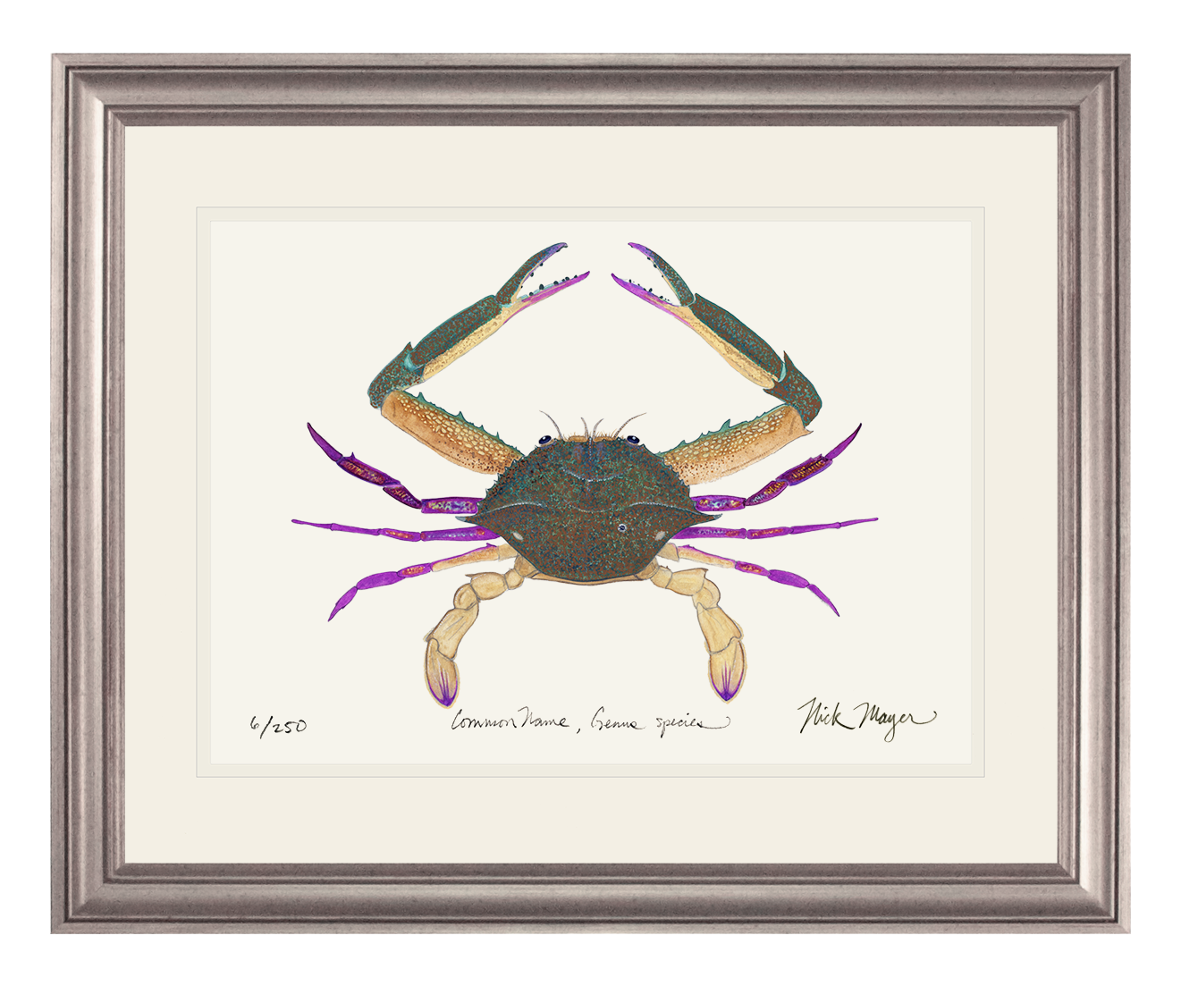 Pass Crab Limited Edition Print