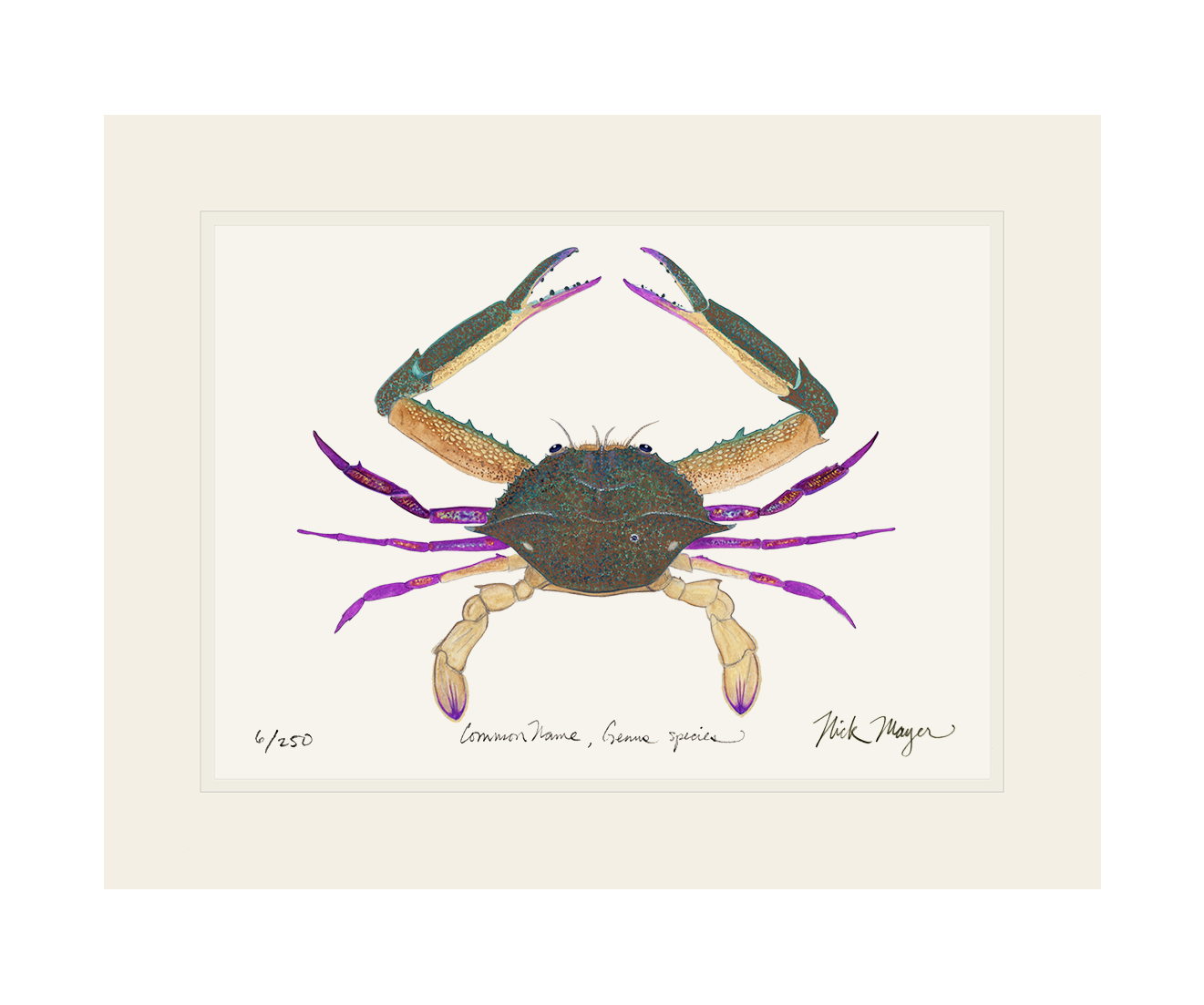 Pass Crab Limited Edition Print