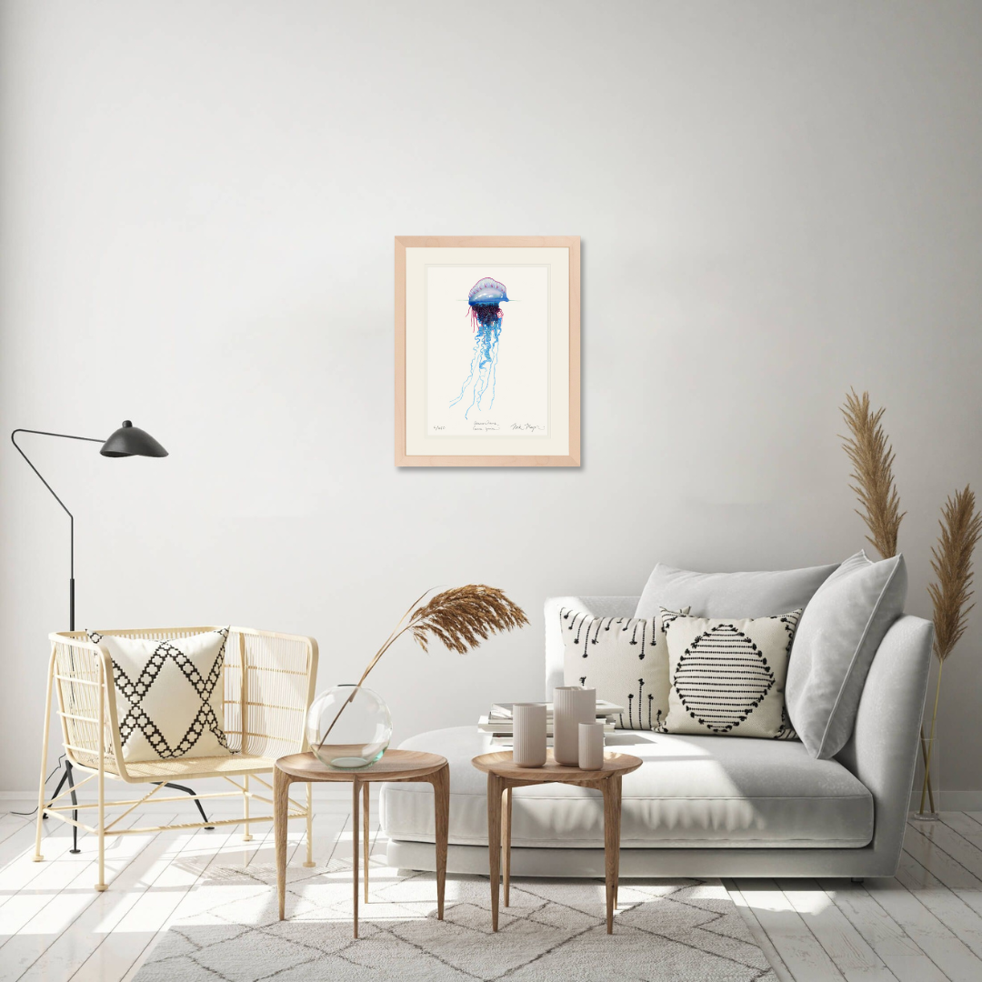 Portuguese Man O' War Limited Edition Print
