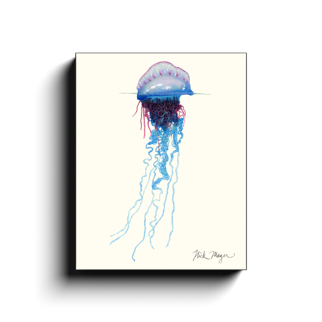 generated-proPreview-3