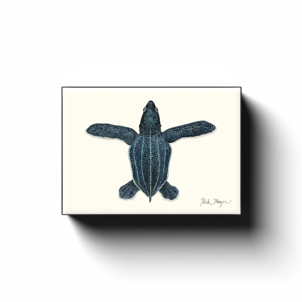generated-proPreview-2