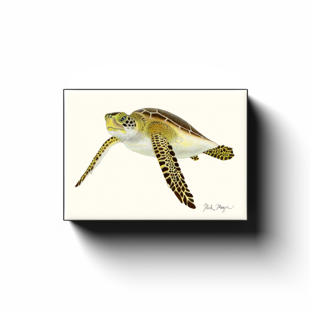 generated-proPreview-2
