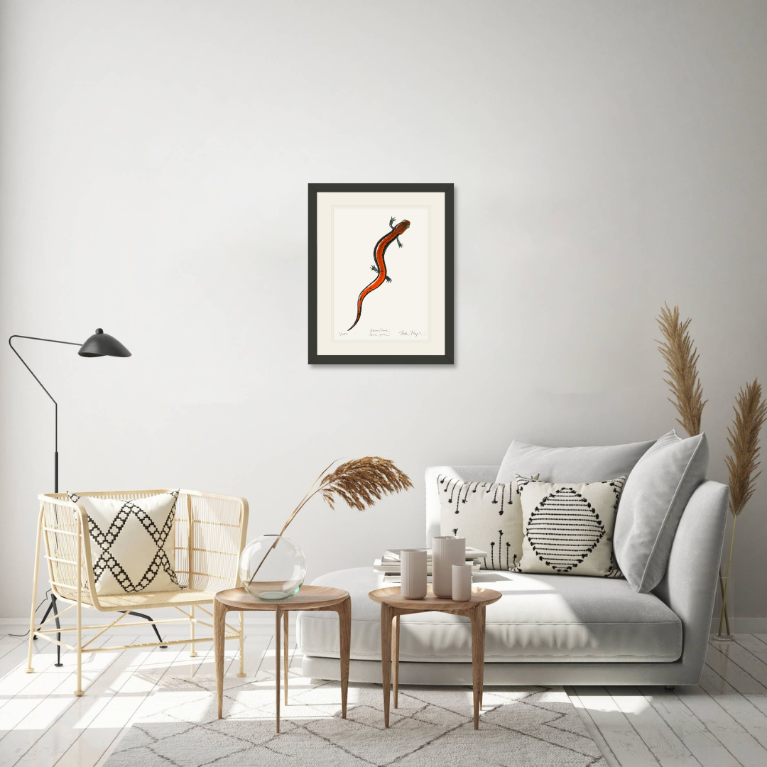 Red Backed Salamander Limited Edition Print