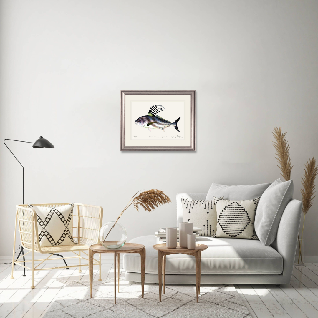 Roosterfish Limited Edition Print