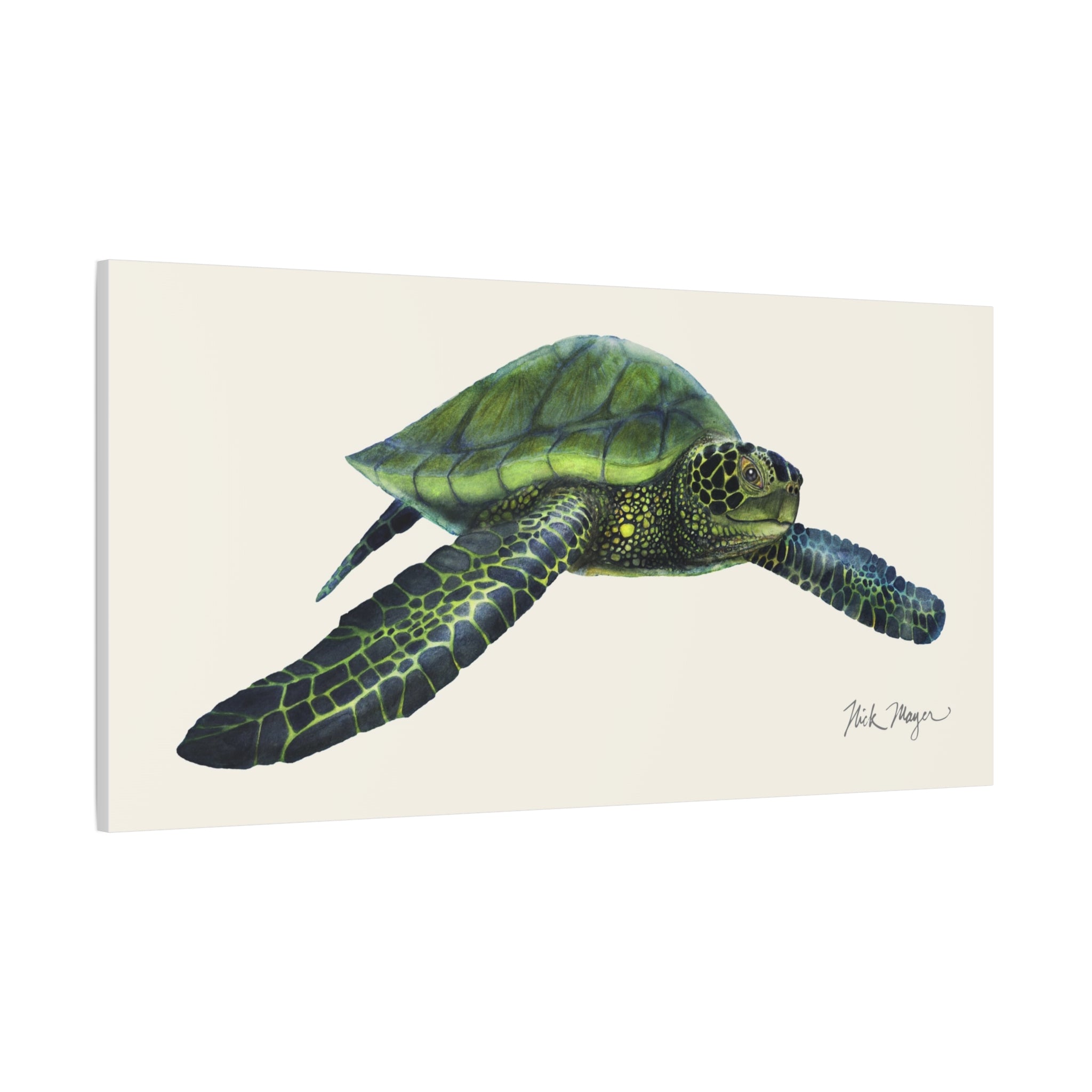 Green Sea Turtle I Canvas Print, 10" x 20"