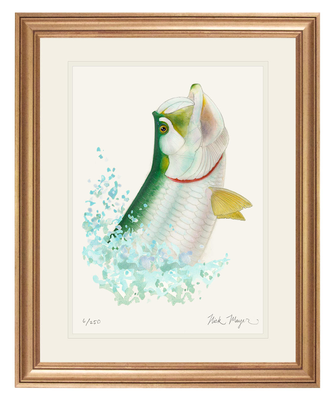 Tarpon Headshake Limited Edition Print