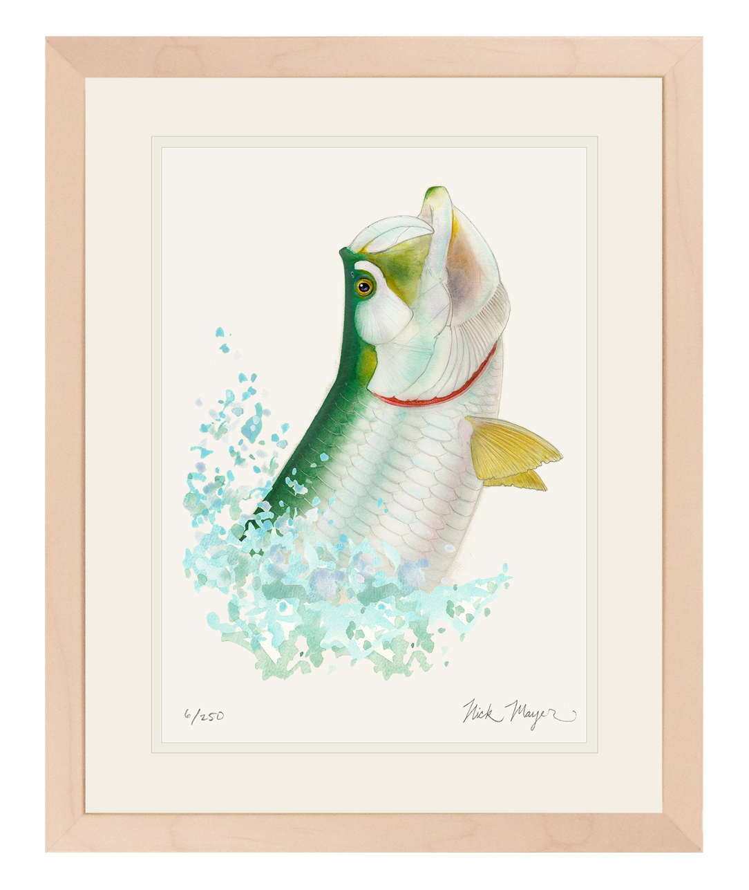 Tarpon Headshake Limited Edition Print