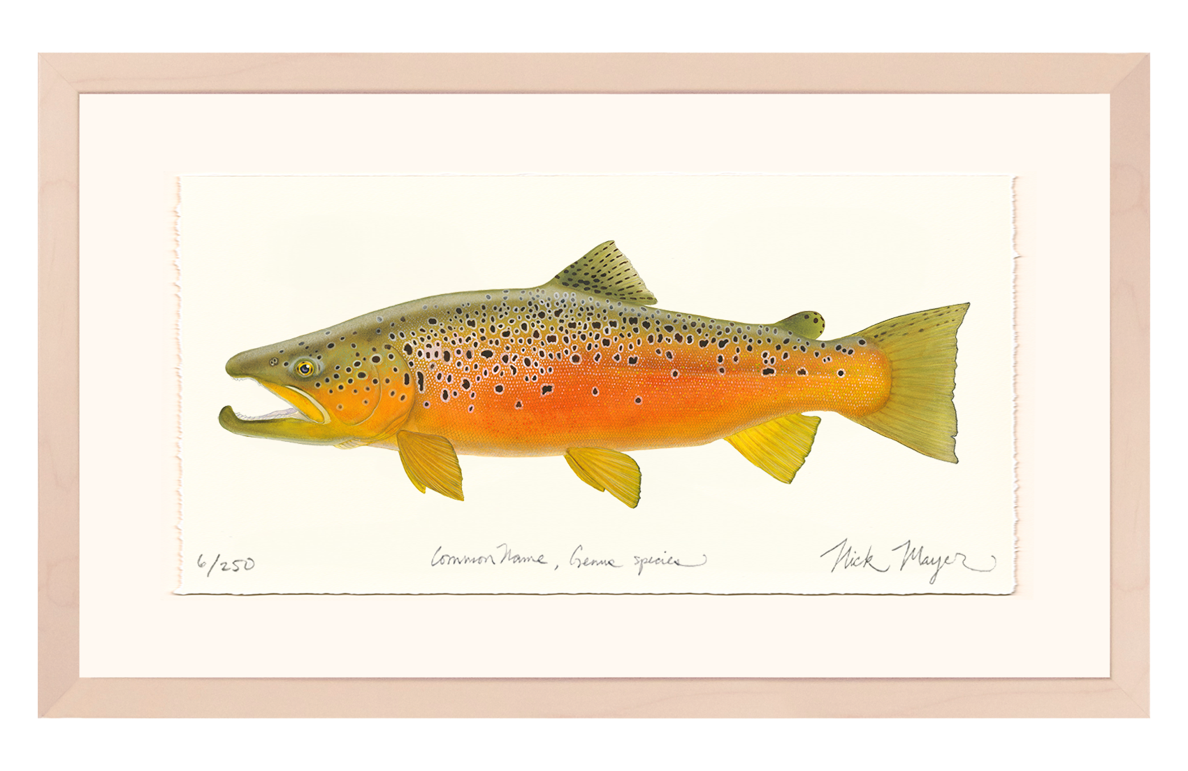 Brown Trout 2 Limited Edition Print - NEW for Holiday 2025!
