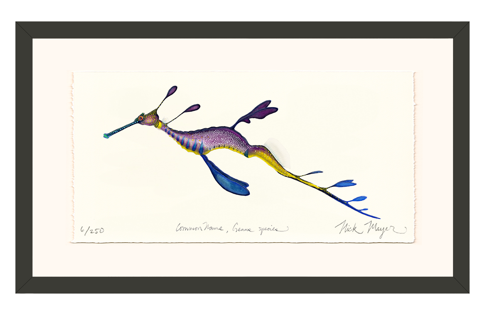 Weedy Seadragon Limited Edition Print