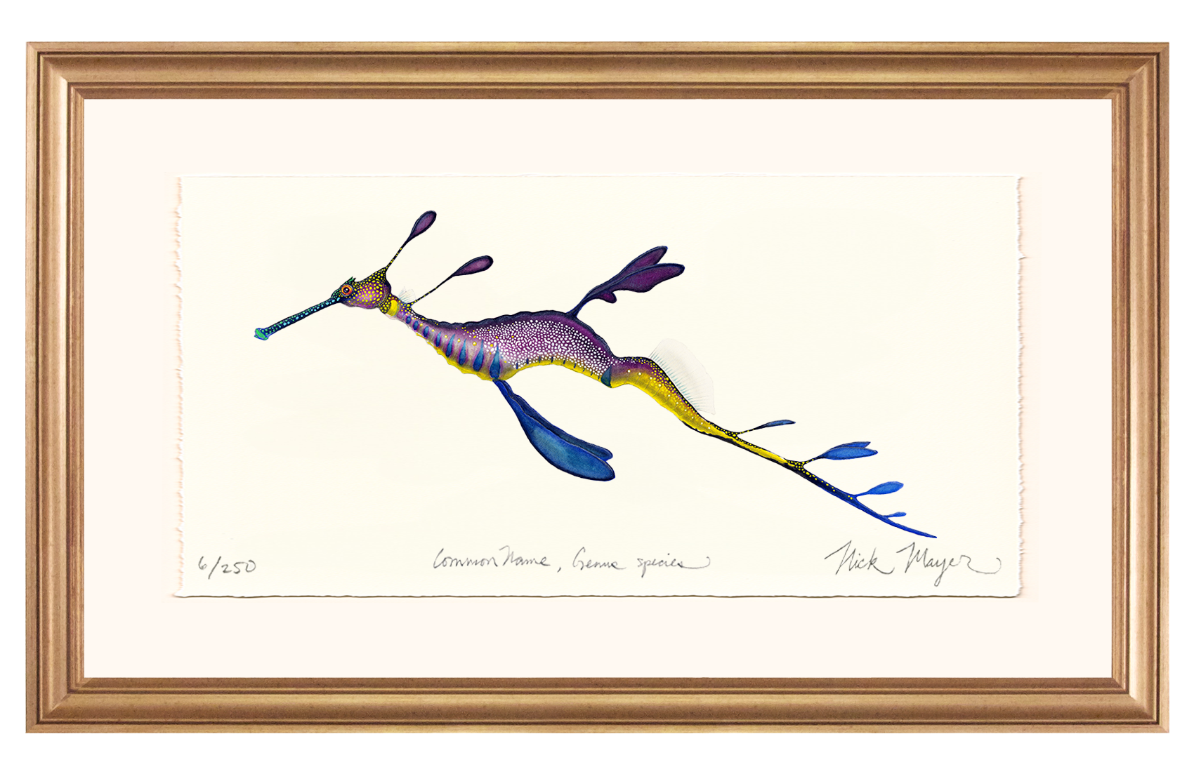 Weedy Seadragon Limited Edition Print