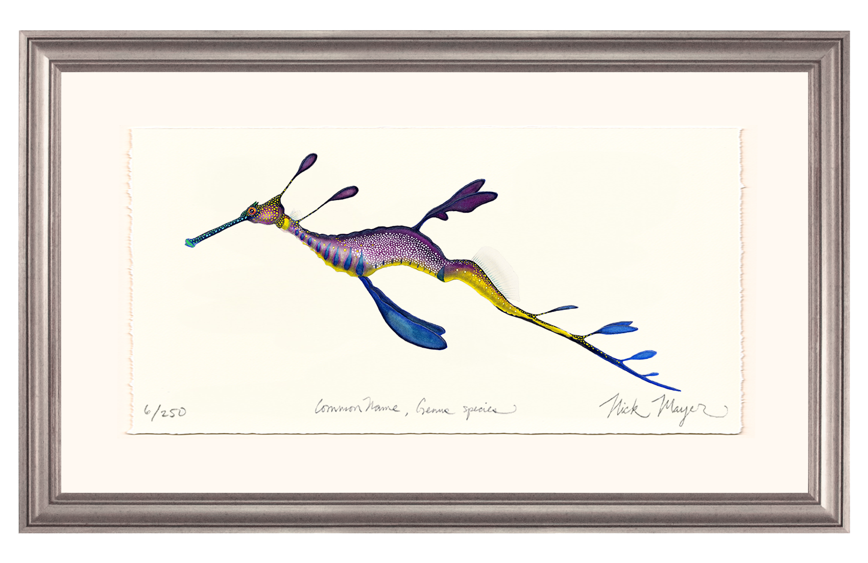Weedy Seadragon Limited Edition Print