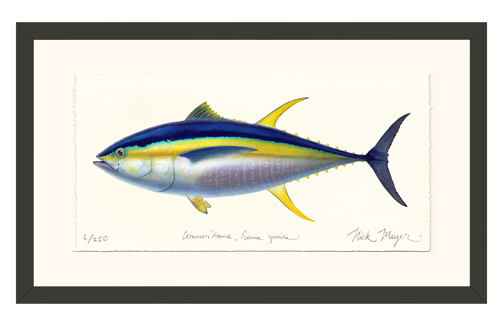 Yellowfin Tuna Limited Edition Print - Best Seller