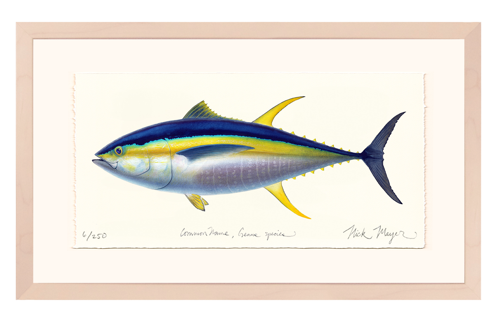 Yellowfin Tuna Limited Edition Print - Best Seller