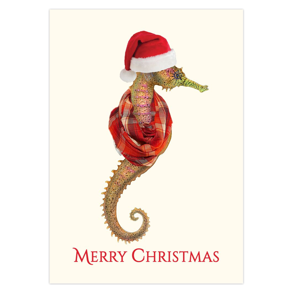 Estuary Elf Christmas Cards