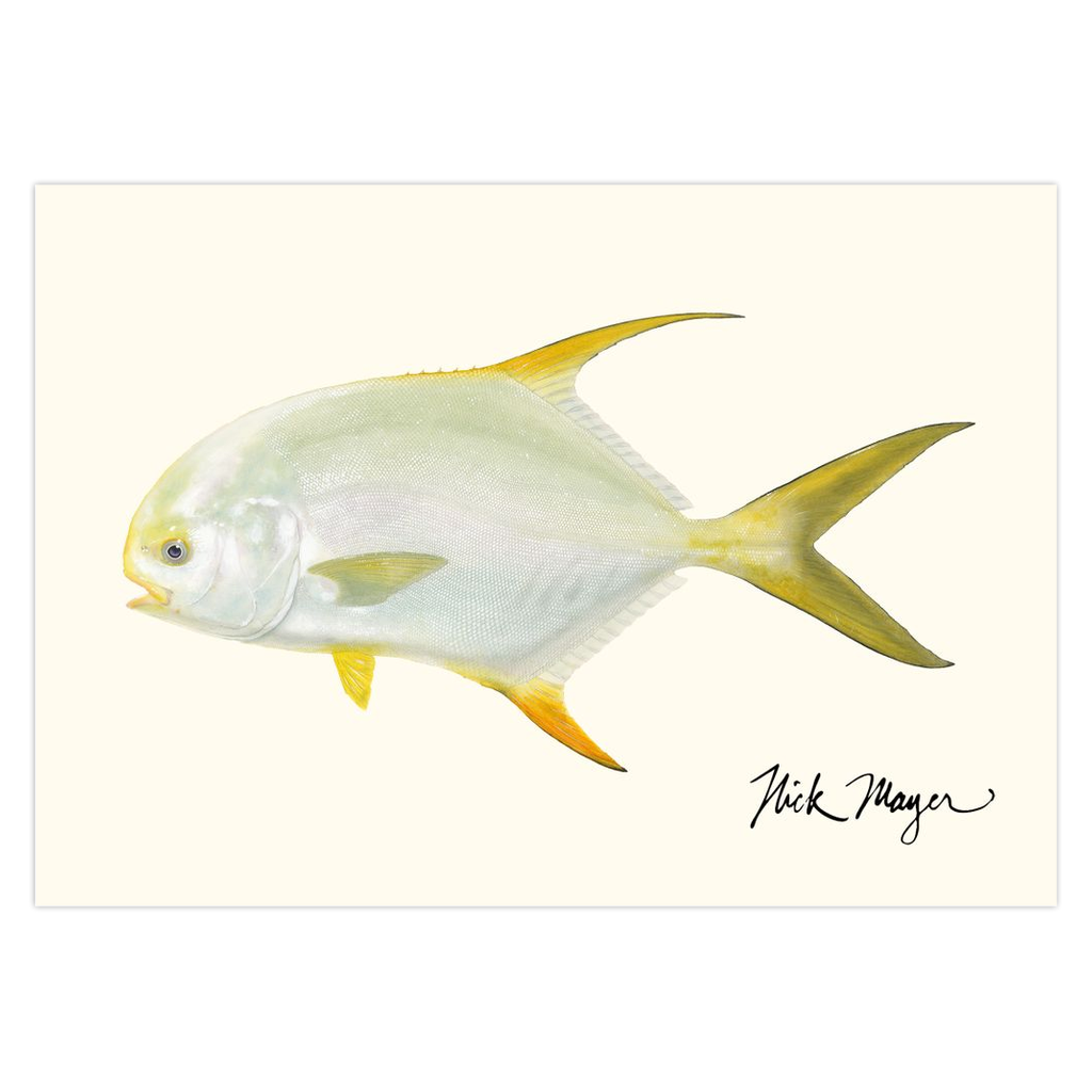 Indo Pacific Permit I Notecards