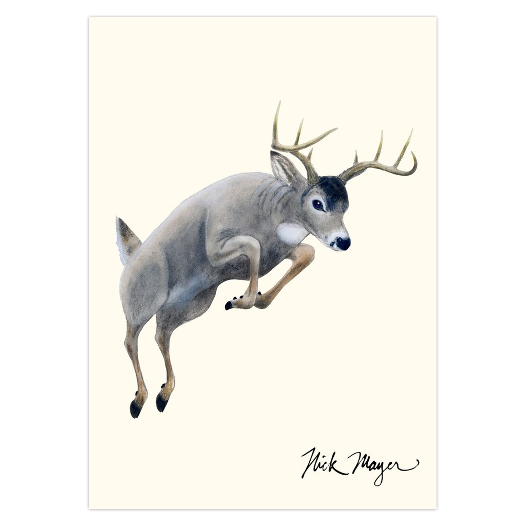 Whitetail Buck Notecards