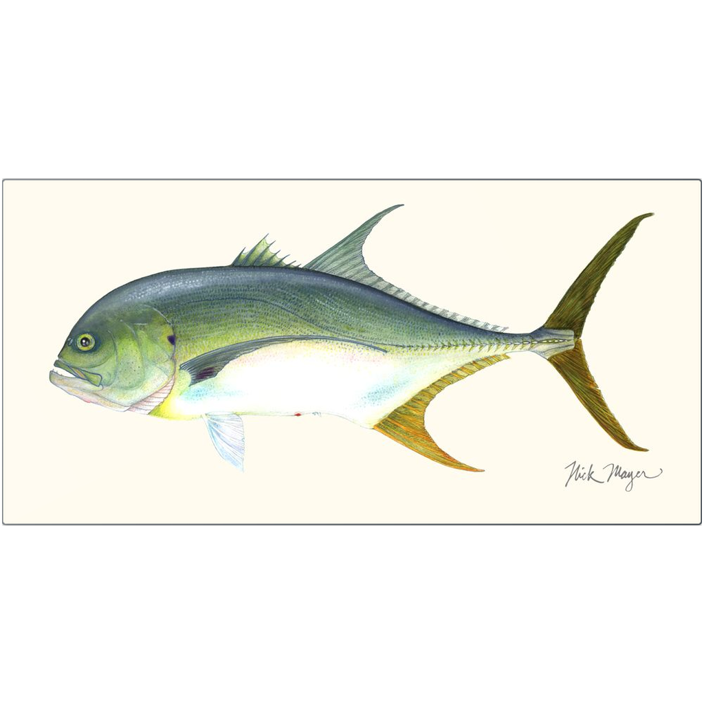 Jack Crevalle Metal Print, NEW!