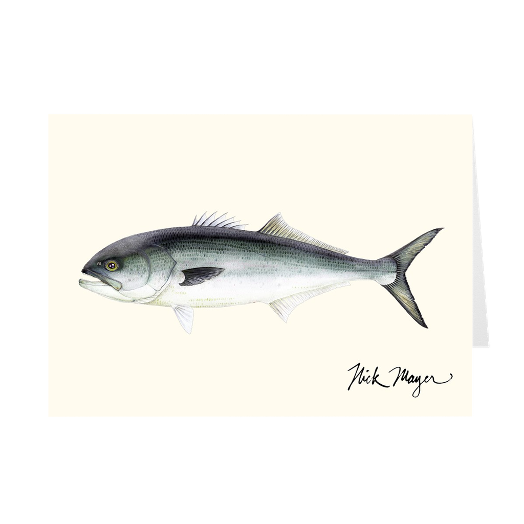 Bluefish Notecards