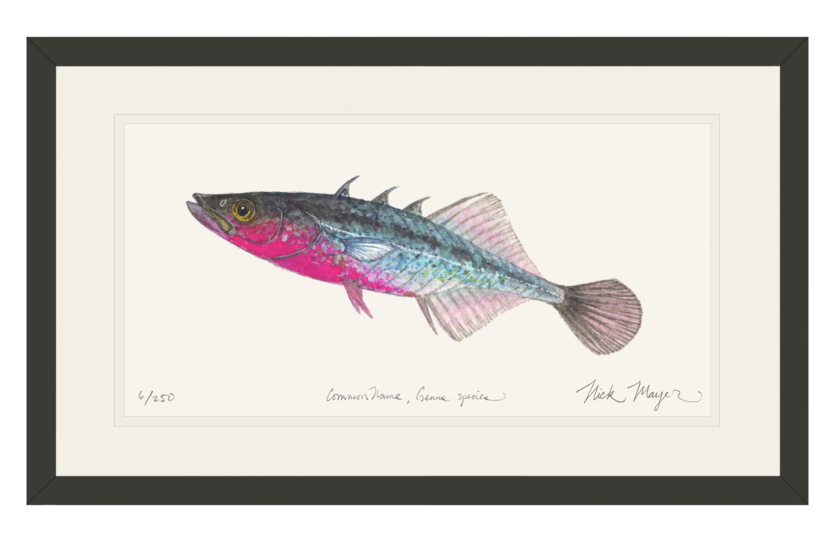 Three Spined Stickleback Limited Edition Print