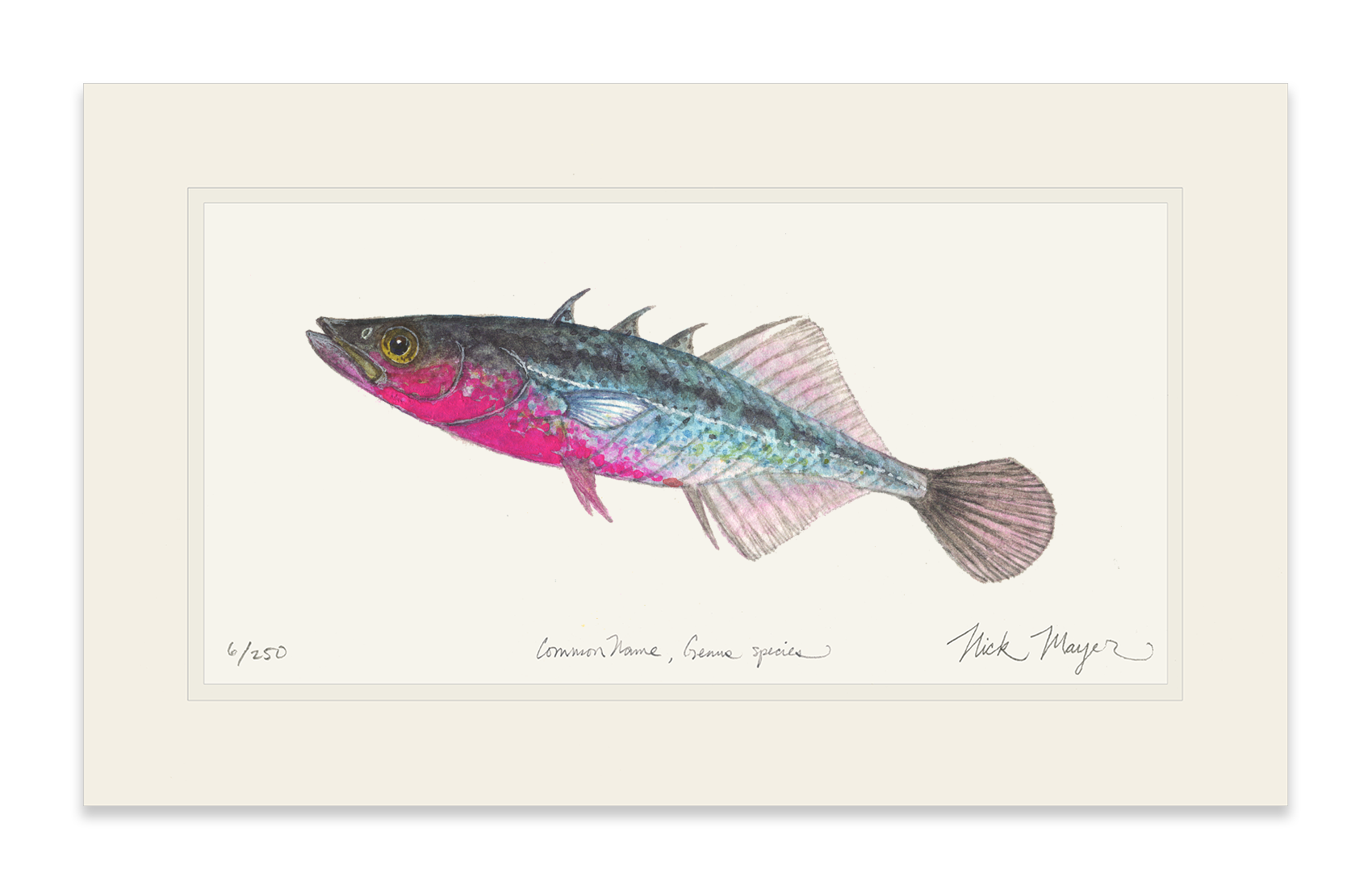 Three Spined Stickleback Limited Edition Print
