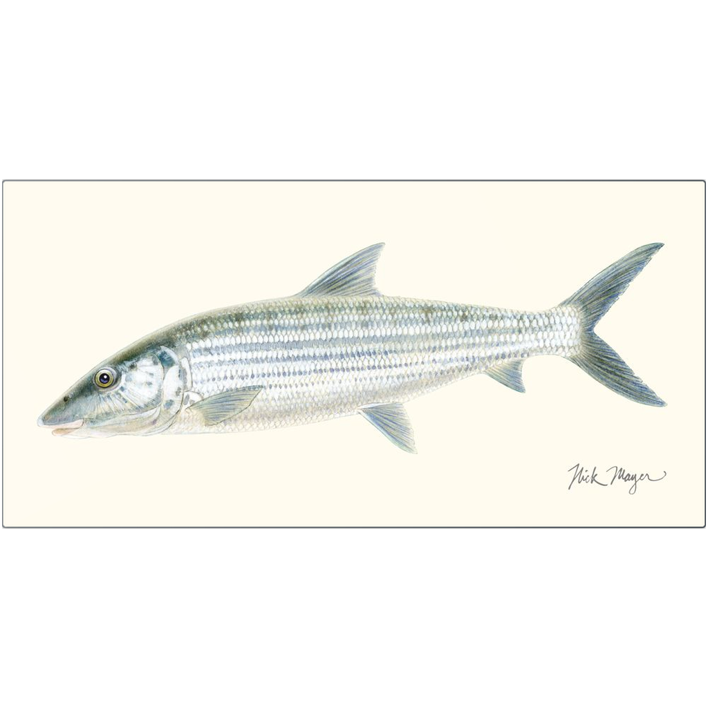 Bonefish Metal Print, NEW!